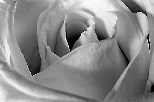 eternal life